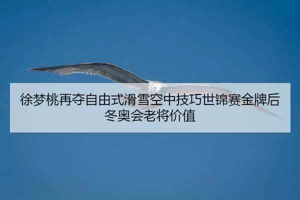 xu-meng-tao-zai-duo-zi-you-shi-hua-xue-kong-zhong-ji-qiao-shi-jin-sai-jin-pai-hou-dong-ao-hui-lao-jiang-jia-zhi-2-334.jpg